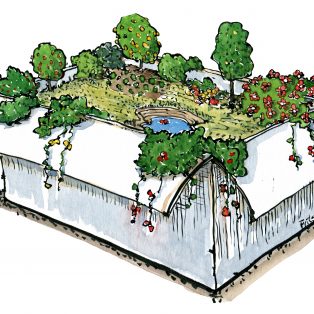drawing of nature in a box